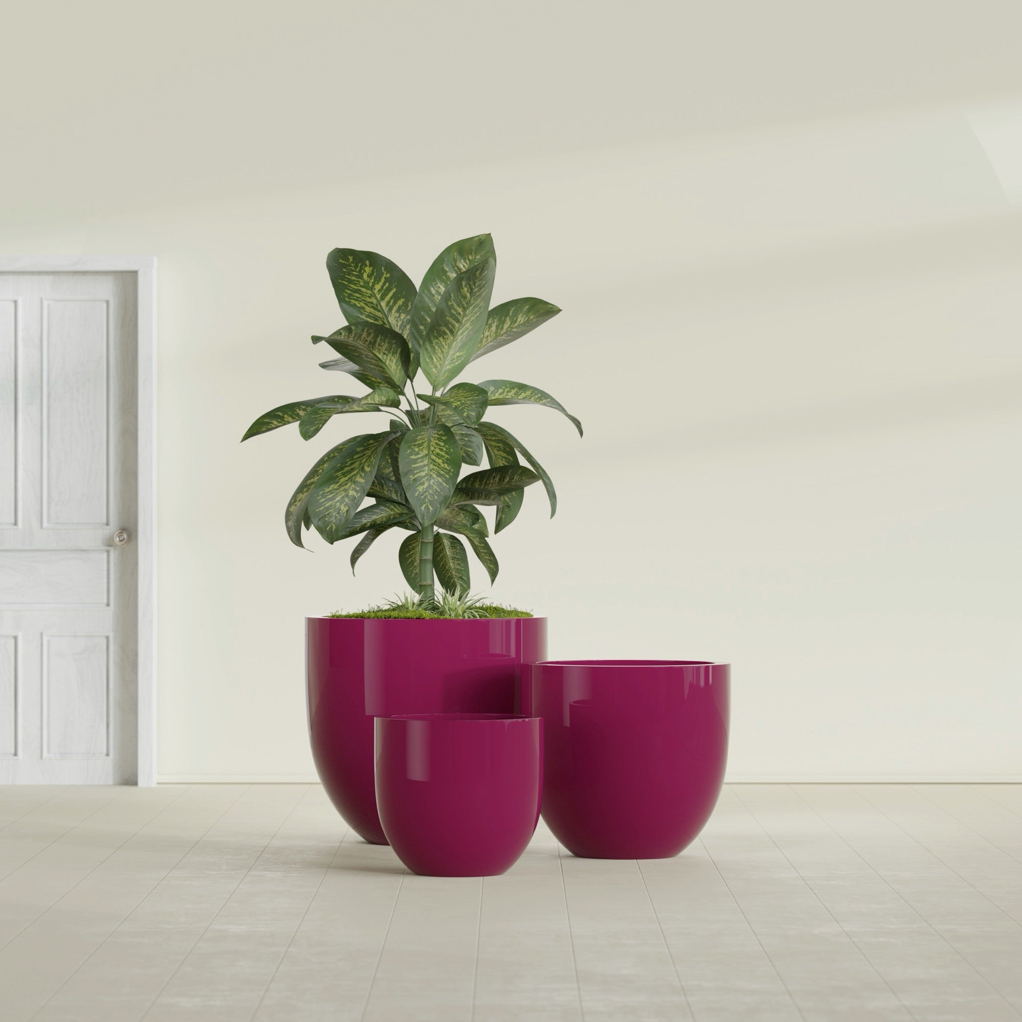 Alzira Large Round Fiberglass Planter - 30 in x 30 in x 28 in - Gloss Eggplant - Gloss Eggplant,30 in x 30 in x 28 in