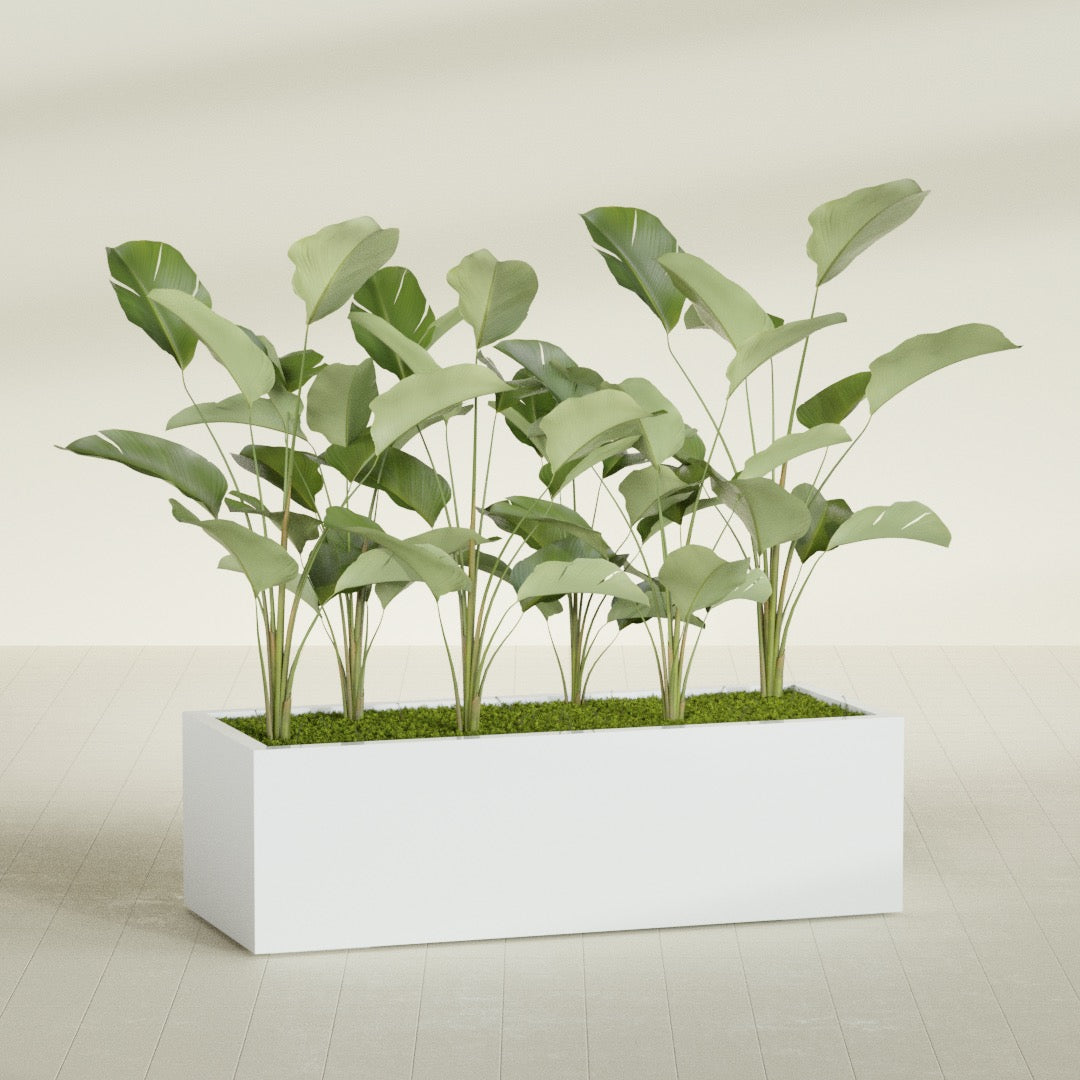Torino Extra Large Wide Rectangle Fiberglass Planter - 60 in x 24 in x 18 in - Matte White - Matte White,60 in x 24 in x 18 in