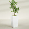 Toulan Large Tall Tapered Square Fiberglass Planter - 18 in x 18 in x 36 in - Matte White - Matte White,18 in x 18 in x 36 in