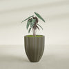 Alicante Medium Round Fiberglass Planter - 22 in x 22 in x 27 in - Matte Bronze - Matte Bronze,22 in x 22 in x 27 in