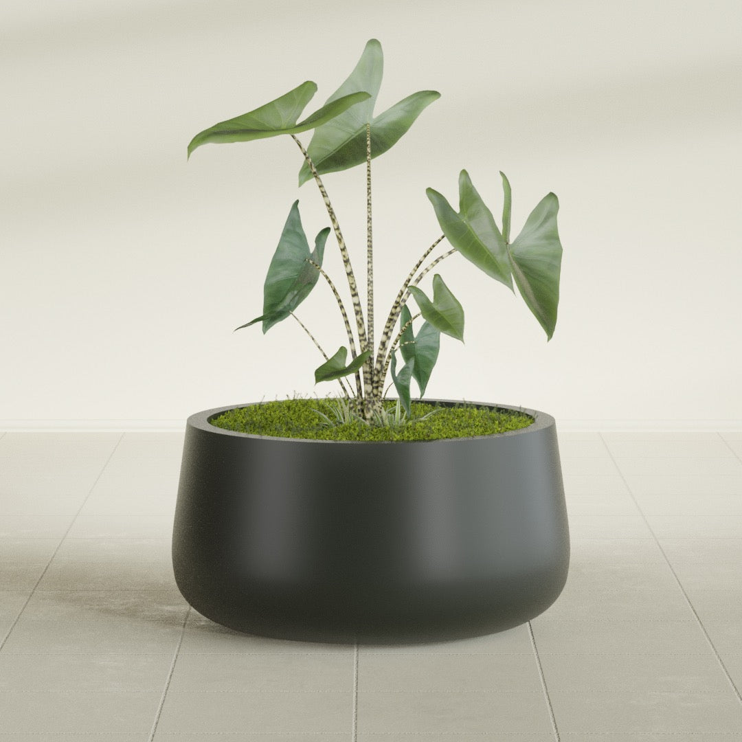 Short Hayden Medium Round Fiberglass Planter - 20 in x 20 in x 10 in - Matte Charcoal - Matte Charcoal,20 in x 20 in x 10 in