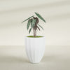 Alicante Medium Round Fiberglass Planter - 22 in x 22 in x 27 in - Gloss White - Gloss White,22 in x 22 in x 27 in