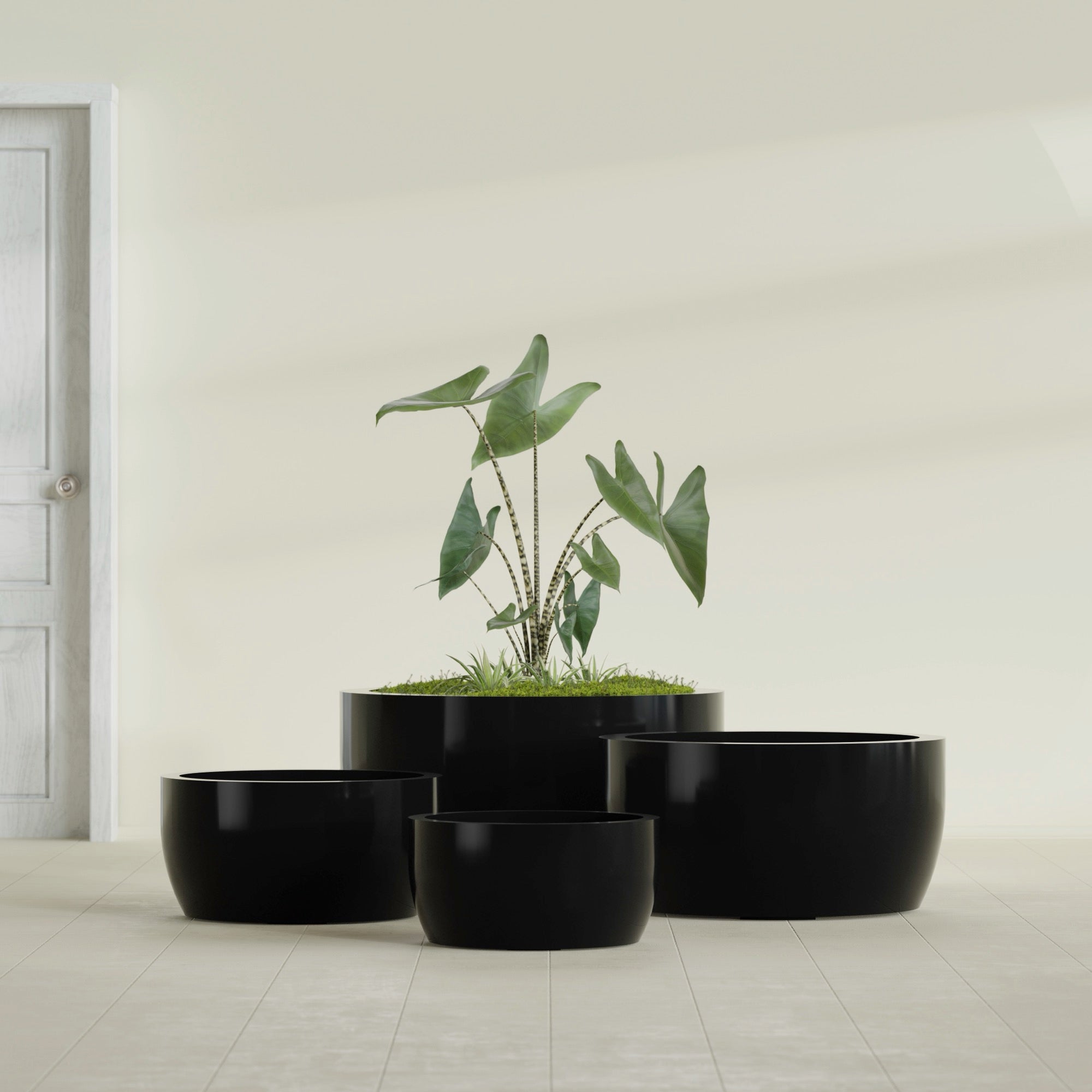 Casablanca Medium Round Low Bowl Fiberglass Planter - 24 in x 24 in x 12 in - Gloss Black - Gloss Black,24 in x 24 in x 12 in