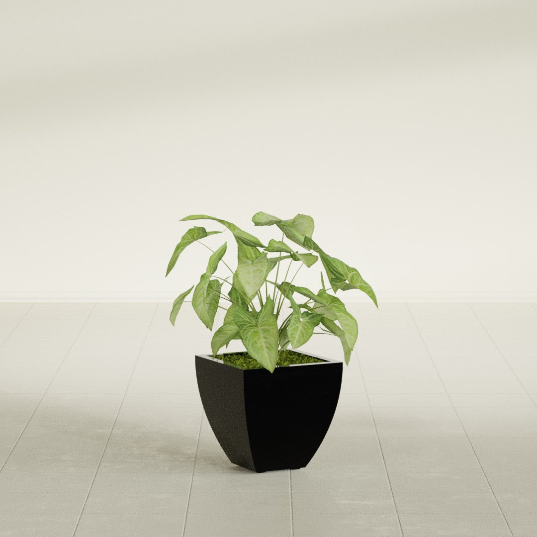 Lima Small Tapered Square Fiberglass Planter - 12 in x 12 in x 12 in - Gloss Black - Gloss Black,12 in x 12 in x 12 in