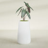 Saigon Large Tapered Round Planter - 16 in x 21 in x 36 in - Gloss White - Gloss White,16.4 in x 20.7 in x 36 in