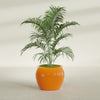 Fishbowl Medium Round Fiberglass Planter - 21.5 in x 21.5 in x 19 in - Gloss Tangerine - Gloss Tangerine,21.5 in x 21.5 in x 19 in