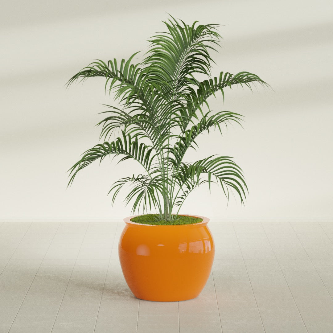 Fishbowl Medium Round Fiberglass Planter - 21.5 in x 21.5 in x 19 in - Gloss Tangerine - Gloss Tangerine,21.5 in x 21.5 in x 19 in