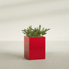 Brisbane Large Rectangle Fiberglass Planter - 24 in x 24 in x 32 in - Gloss Red - Gloss Red,24 in x 24 in x 32 in