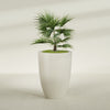 Brannan Large Round Fiberglass Planter - 30 in x 30 in x 41 in - Satin Beige - Satin Beige,30 in x 30 in x 41 in