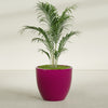 Wannsee Large Round Fiberglass Planter - 39 in x 39 in x 34 in - Gloss Eggplant - Gloss Eggplant,39 in x 39 in x 34 in
