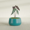 Short Hayden Small Round Fiberglass Planter - 16 in x 16 in x 8 in - Satin Sea Foam - Satin Sea Foam,16 in x 16 in x 8 in