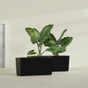 Panama Large Long Rectangle Fiberglass Planter - 36 in x 12 in x 18 in - Gloss Black - Gloss Black,36 in x 12 in x 18 in