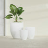 Valencia Small Round Fiberglass Planter - 15 in x 15 in x 18 in - Matte White - Matte White,15 in x 15 in x 18 in
