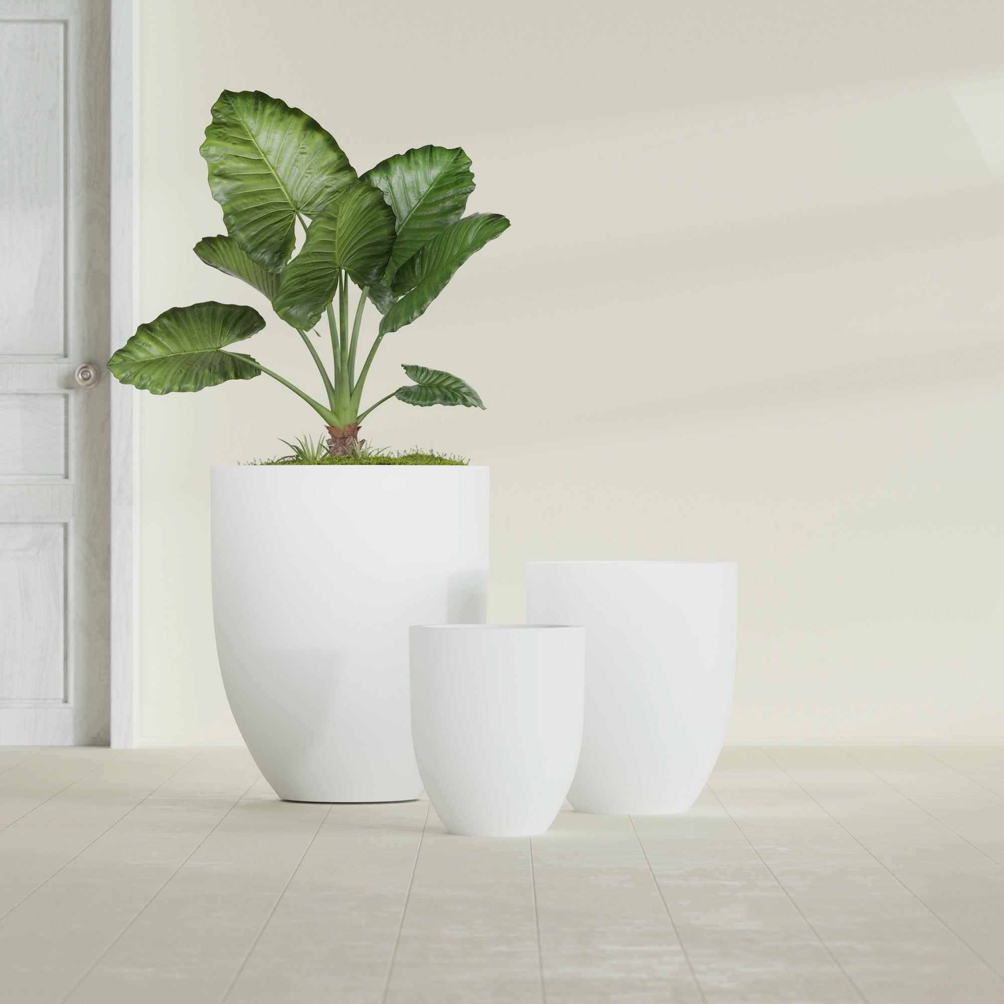 Valencia Small Round Fiberglass Planter - 15 in x 15 in x 18 in - Matte White - Matte White,15 in x 15 in x 18 in