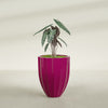 Alicante Medium Round Fiberglass Planter - 22 in x 22 in x 27 in - Gloss Eggplant - Gloss Eggplant,22 in x 22 in x 27 in