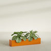 Salon Large Tall Rectangle Fiberglass Planter - 42 in x 8 in x 8 in - Gloss Tangerine - Gloss Tangerine,42 in x 8 in x 8 in