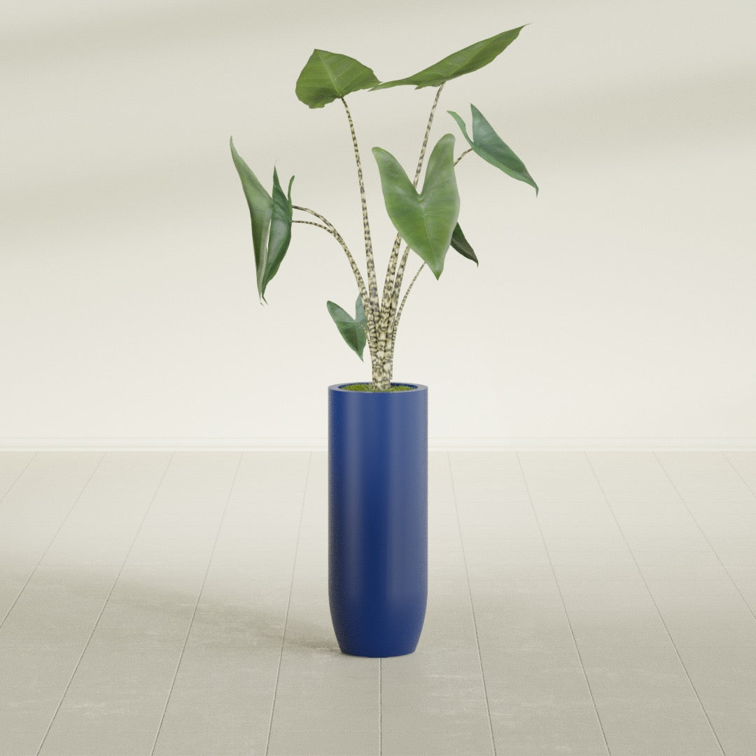 Saint Tropez Large Tall Round Fiberglass Planter - 12 in x 12 in x 32 in - Matte Cobalt Blue - Matte Cobalt Blue,12 in x 12 in x 32 in