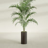Corry Medium Tall Cylinder Fiberglass Planter - 10 in x 10 in x 20 in - Matte Brown - Matte Brown,10 in x 10 in x 20 in
