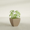 Lima Small Tapered Square Fiberglass Planter - 16 in x 16 in x 16 in - Metallic Gold - Metallic Gold,16 in x 16 in x 16 in