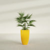 Brannan Medium Round Fiberglass Planter - 18 in x 18 in x 29 in - Gloss Saffron - Gloss Saffron,18 in x 18 in x 29 in