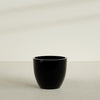Wannsee Large Round Fiberglass Planter - 39 in x 39 in x 34 in - Gloss Black - Gloss Black,39 in x 39 in x 34 in
