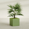 Montroy Large Cube Square Fiberglass Planter - 32 in x 32 in x 32 in - Satin Green - Satin Green,32 in x 32 in x 32 in
