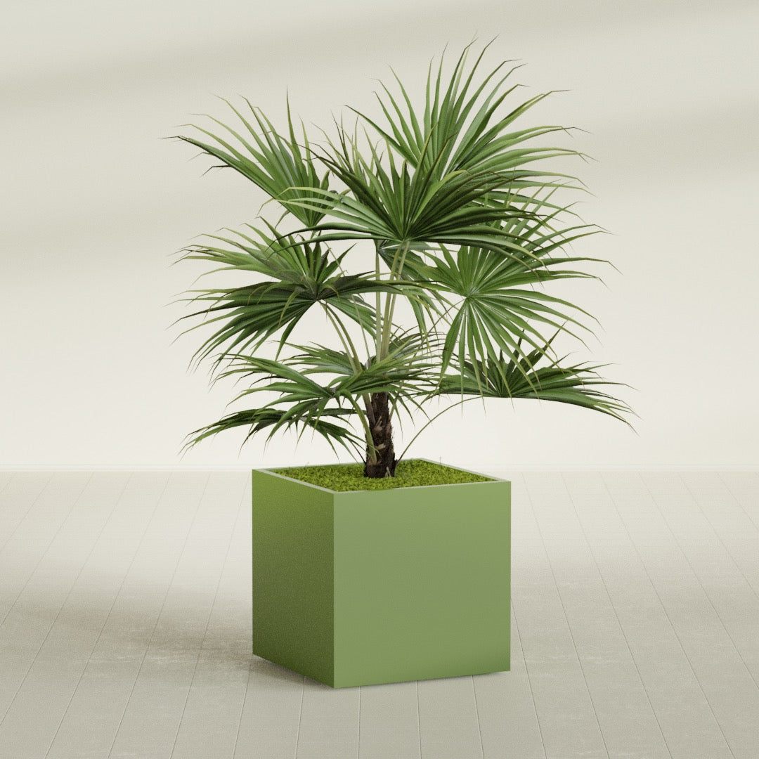 Montroy Large Cube Square Fiberglass Planter - 32 in x 32 in x 32 in - Satin Green - Satin Green,32 in x 32 in x 32 in