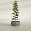Casablanca Medium Round Low Bowl Fiberglass Planter - 20 in x 20 in x 10 in - Metallic Gunmetal - Metallic Gunmetal,20 in x 20 in x 10 in