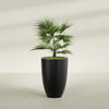 Brannan Large Round Fiberglass Planter - 24 in x 24 in x 35 in - Matte Black - Matte Black,24 in x 24 in x 35 in