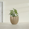 Santa Barbara Medium Round Fiberglass Planter - 23 in x 23 in x 20.3 in - Metallic Gold - Metallic Gold,23 in x 23 in x 20 in
