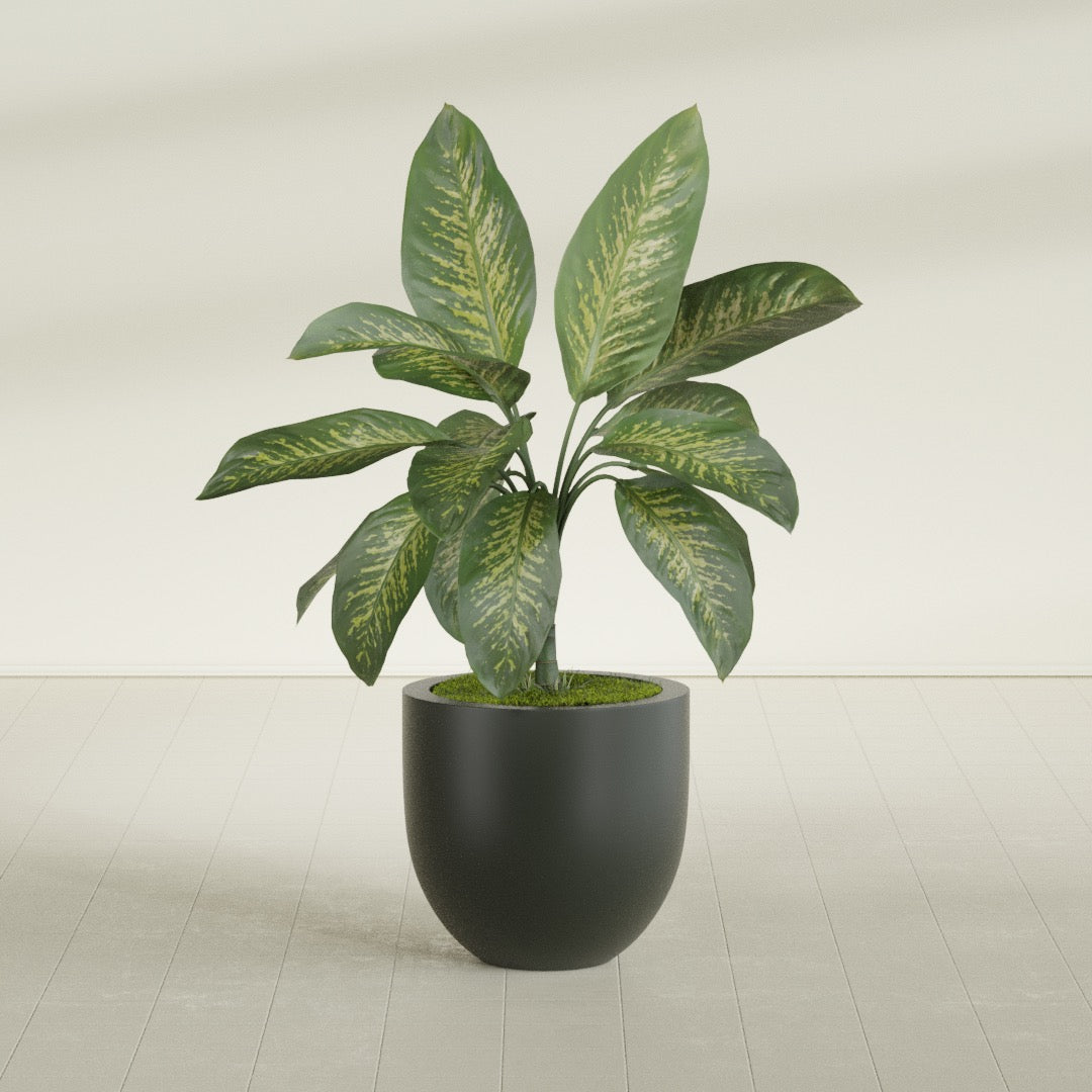 Alzira Medium Round Fiberglass Planter - 23 in x 23 in x 22 in - Matte Charcoal - Matte Charcoal,23 in x 23 in x 22 in