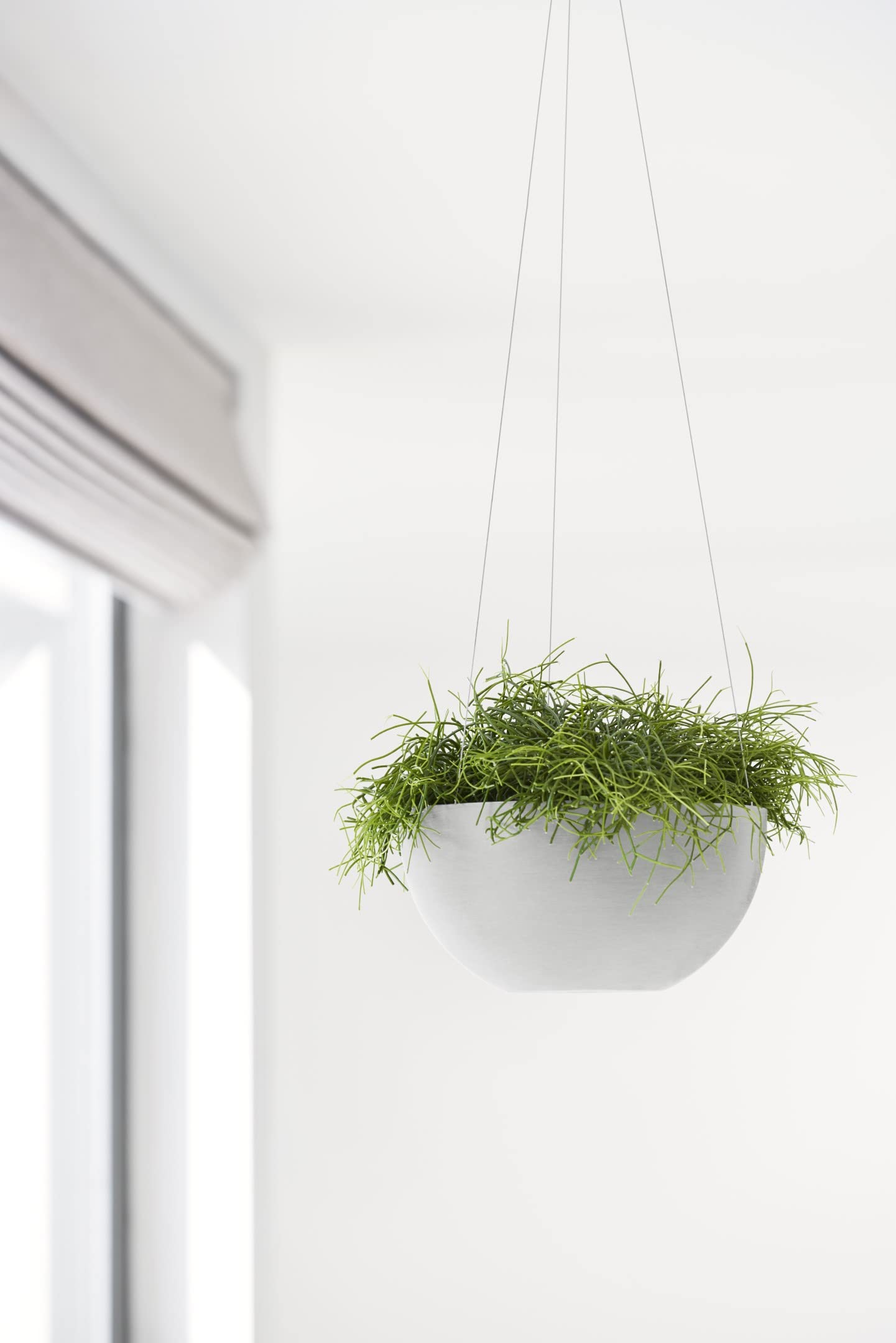 Hanging Brussels Small Bowl Planter - 13 in x 13 in x 6.5 in - White Grey - White Grey,13 in x 13 in x 6.5 in