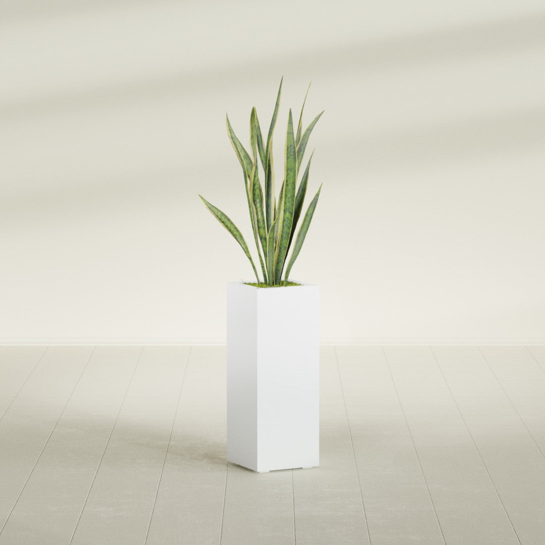 Delray Large Tall Rectangle Fiberglass Planter - 12 in x 12 in x 32 in - Matte White - Matte White,12 in x 12 in x 32 in