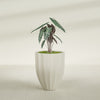 Alicante Medium Round Fiberglass Planter - 22 in x 22 in x 27 in - Satin Beige - Satin Beige,22 in x 22 in x 27 in