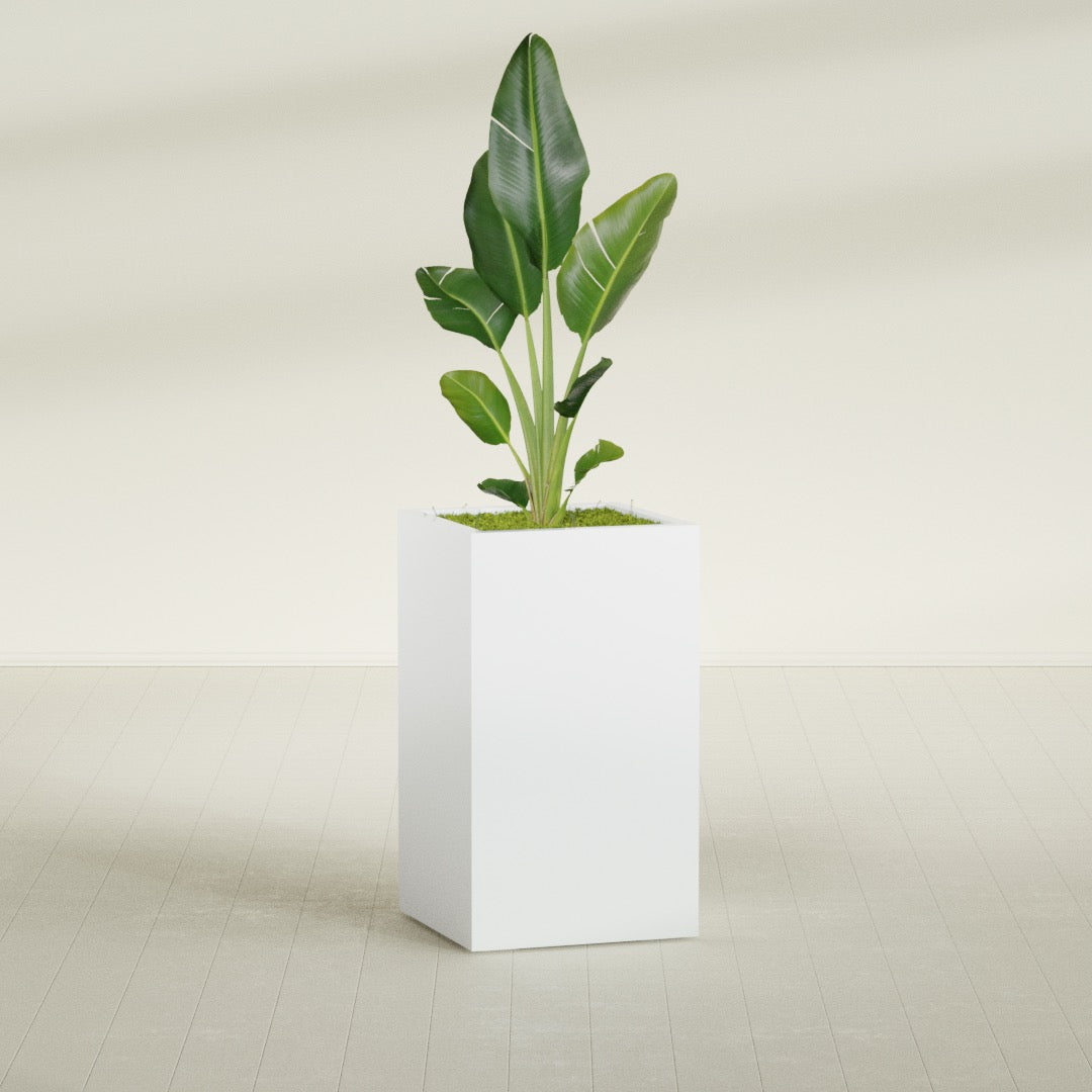 Darwin Large Tall Rectangle Fiberglass Planter - 24 in x 24 in x 42 in - Matte White - Matte White,24 in x 24 in x 42 in