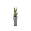 Rotterdam Medium Tall Square Planter - 12.6 in x 12.6 in x 27.5 in - Grey - Grey,12.5 in x 12.5 in x 27.5 in,Planter Only