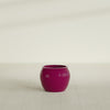 Fishbowl Small Round Fiberglass Planter - 16 in x 16 in x 14 in - Gloss Eggplant - Gloss Eggplant,16 in x 16 in x 14 in