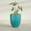 Valencia Large Round Fiberglass Planter - 27 in x 27 in x 31 in - Satin Sea Foam - Satin Sea Foam,27 in x 27 in x 31 in