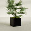 Montroy Medium Cube Square Fiberglass Planter - 28 in x 28 in x 28 in - Gloss Black - Gloss Black,28 in x 28 in x 28 in