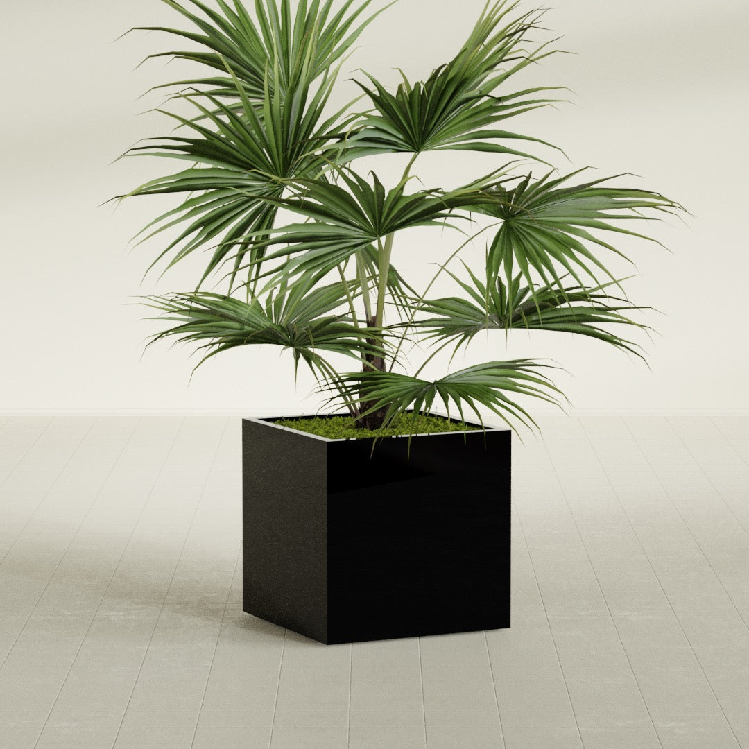 Montroy Medium Cube Square Fiberglass Planter - 28 in x 28 in x 28 in - Gloss Black - Gloss Black,28 in x 28 in x 28 in
