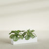 Salon Large Tall Rectangle Fiberglass Planter - 36 in x 8 in x 8 in - Matte White - Matte White,36 in x 8 in x 8 in