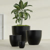 Wannsee Extra Large Round Fiberglass Planter - 50 in x 50 in x 44 in - Matte Black - Matte Black,50 in x 50 in x 44 in