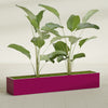 Cuba Extra Large Long Rectangle Fiberglass Planter - 72 in x 14 in x 12 in - Gloss Eggplant - Gloss Eggplant,72 in x 14 in x 12 in