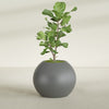 Globe Large Sphere Fiberglass Planter - 30 in x 30 in x 24 in - Metallic Gunmetal - Metallic Gunmetal,30 in x 30 in x 24 in