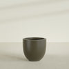 Alzira Large Round Fiberglass Planter - 30 in x 30 in x 28 in - Matte Bronze - Matte Bronze,30 in x 30 in x 28 in