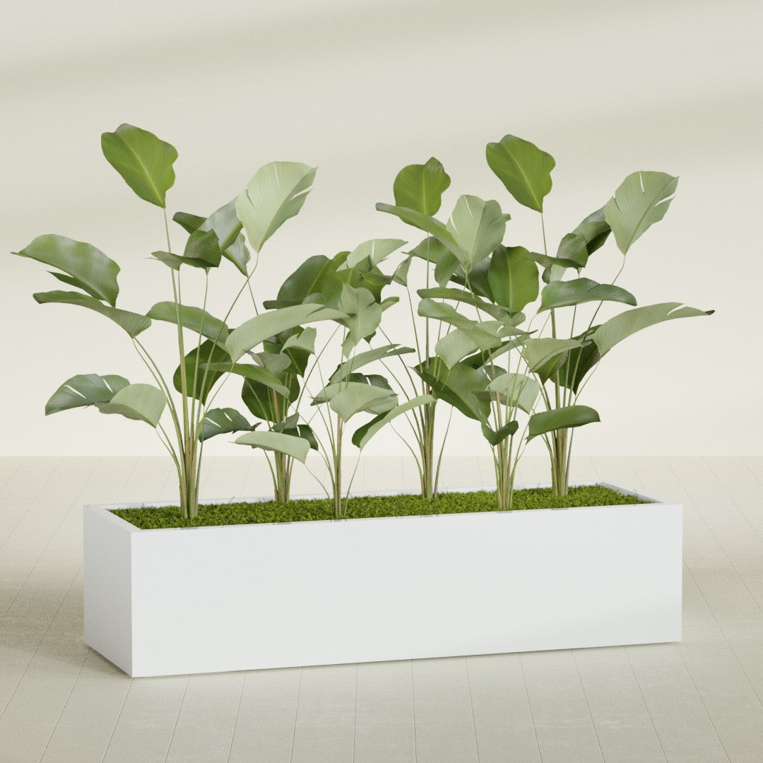 Torino Extra Large Wide Rectangle Fiberglass Planter - 72 in x 24 in x 18 in - Matte White - Matte White,72 in x 24 in x 18 in