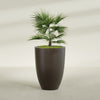 Brannan Large Round Fiberglass Planter - 30 in x 30 in x 41 in - Matte Brown - Matte Brown,30 in x 30 in x 41 in