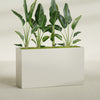 Darwin Extra Large Long Rectangle Fiberglass Planter - 72 in x 24 in x 42 in - Satin Beige - Satin Beige,72 in x 24 in x 42 in