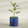 Rio Grande Medium Round Fiberglass Planter - 22 in x 22 in x 22 in - Matte Cobalt Blue - Matte Cobalt Blue,22 in x 22 in x 22 in