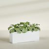Miami Extra Large Narrow Rectangle Fiberglass Planter - 48 in x 12 in x 18 in - Gloss White - Gloss White,48 in x 12 in x 18 in
